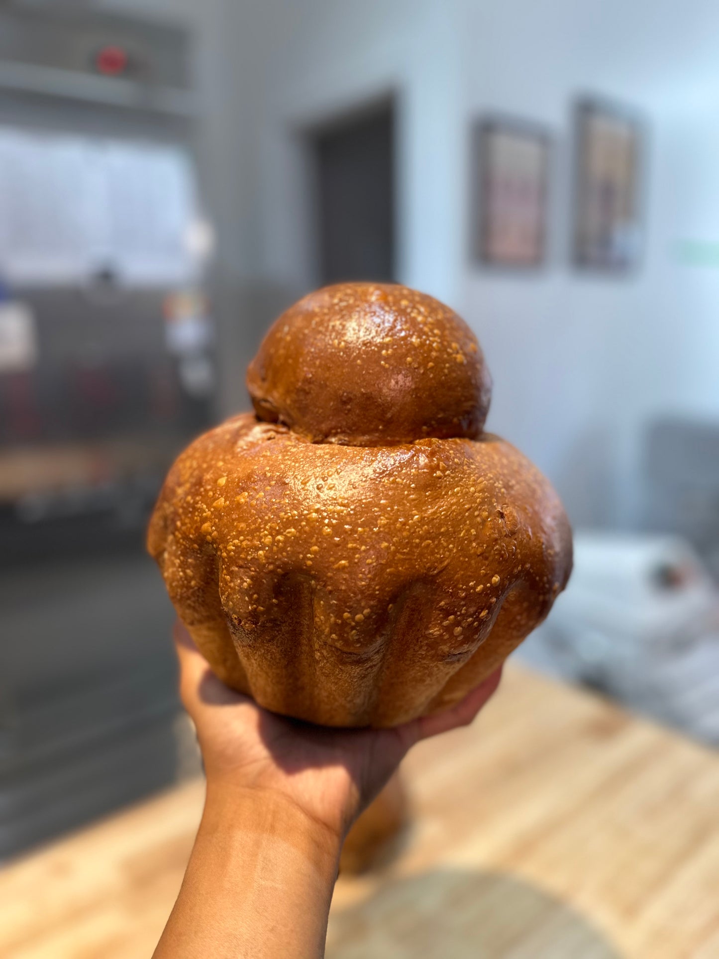 Milk bun + Rolls (June 7, 2026)