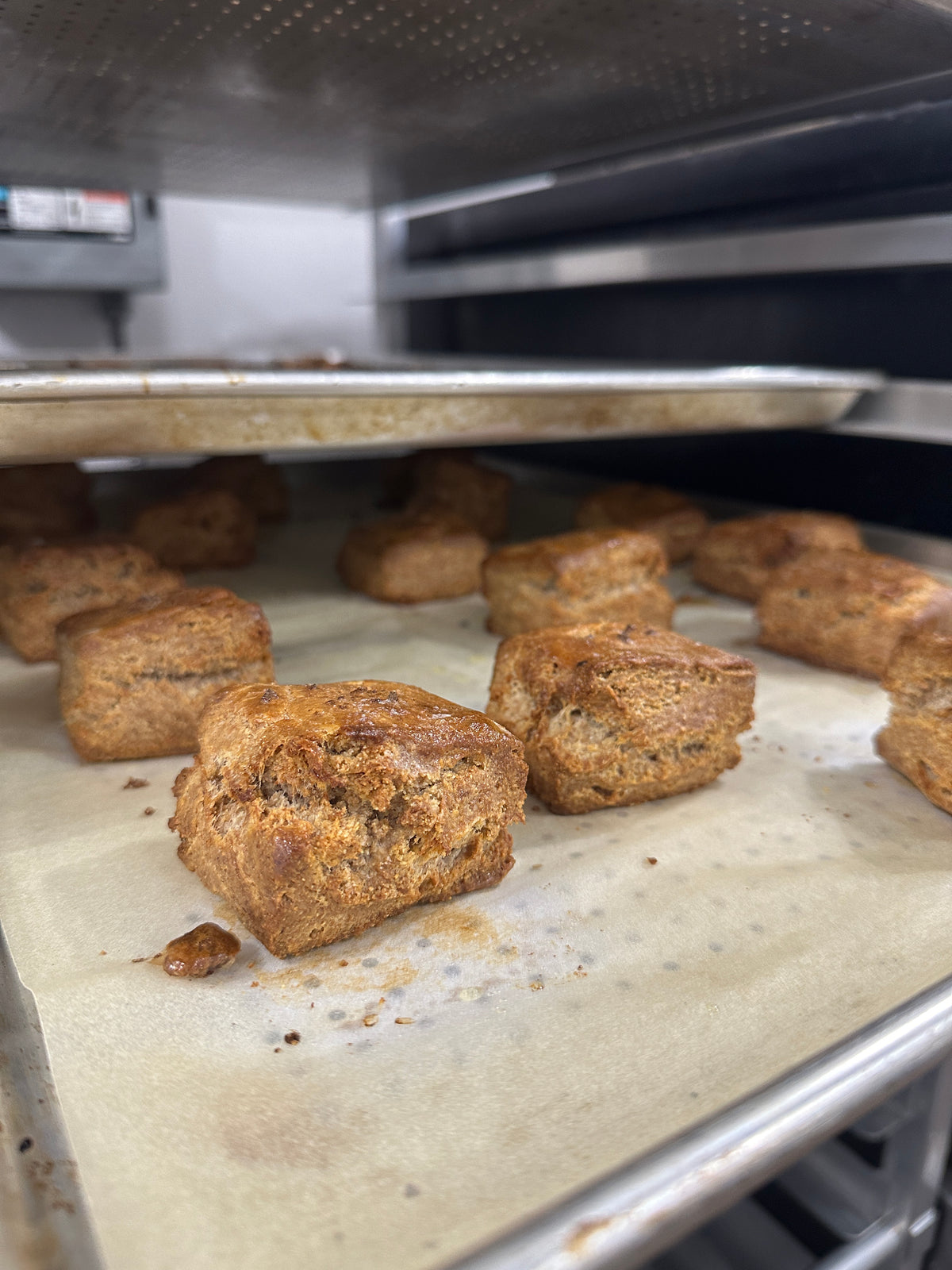 Buttermilk Biscuit