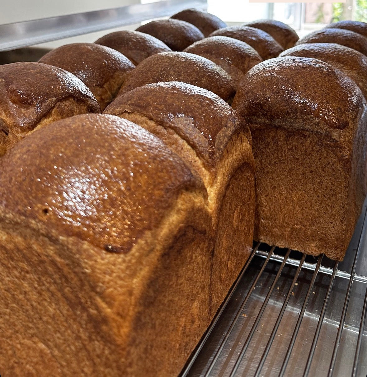 Sourdough Brioche