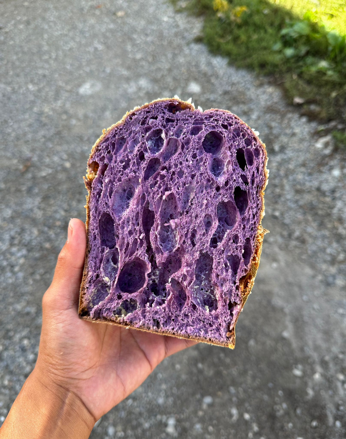 Ube and Coconut Panettone (450g)
